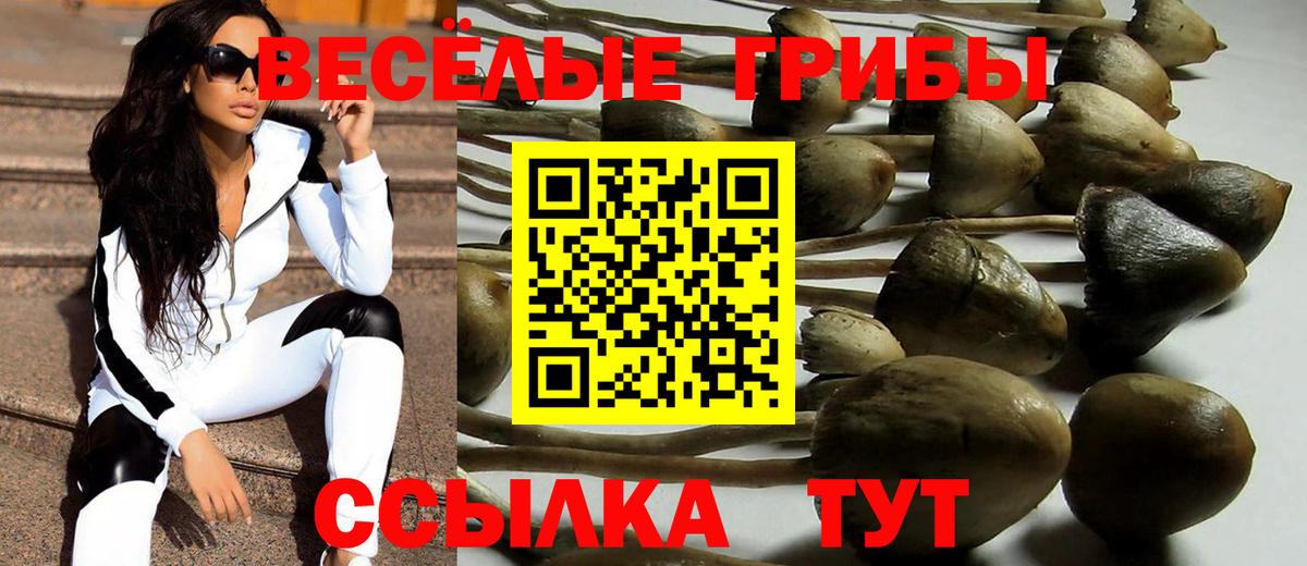 Галлюциногенные грибы мухоморы Химки