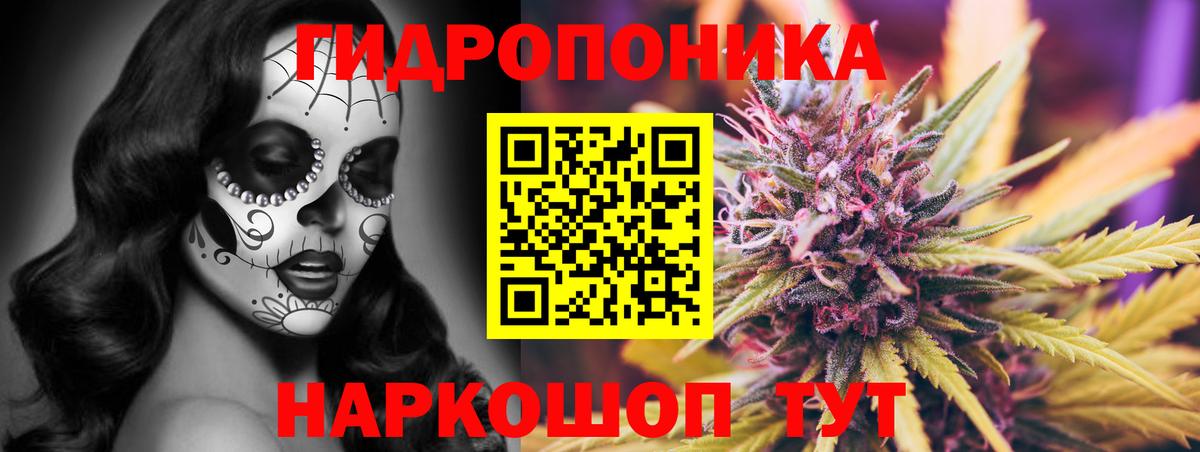 Бошки Шишки гибрид  Канабис VHQ  Бошки марихуана тримм  Канабис марихуана  Вход с VPN  Химки 
